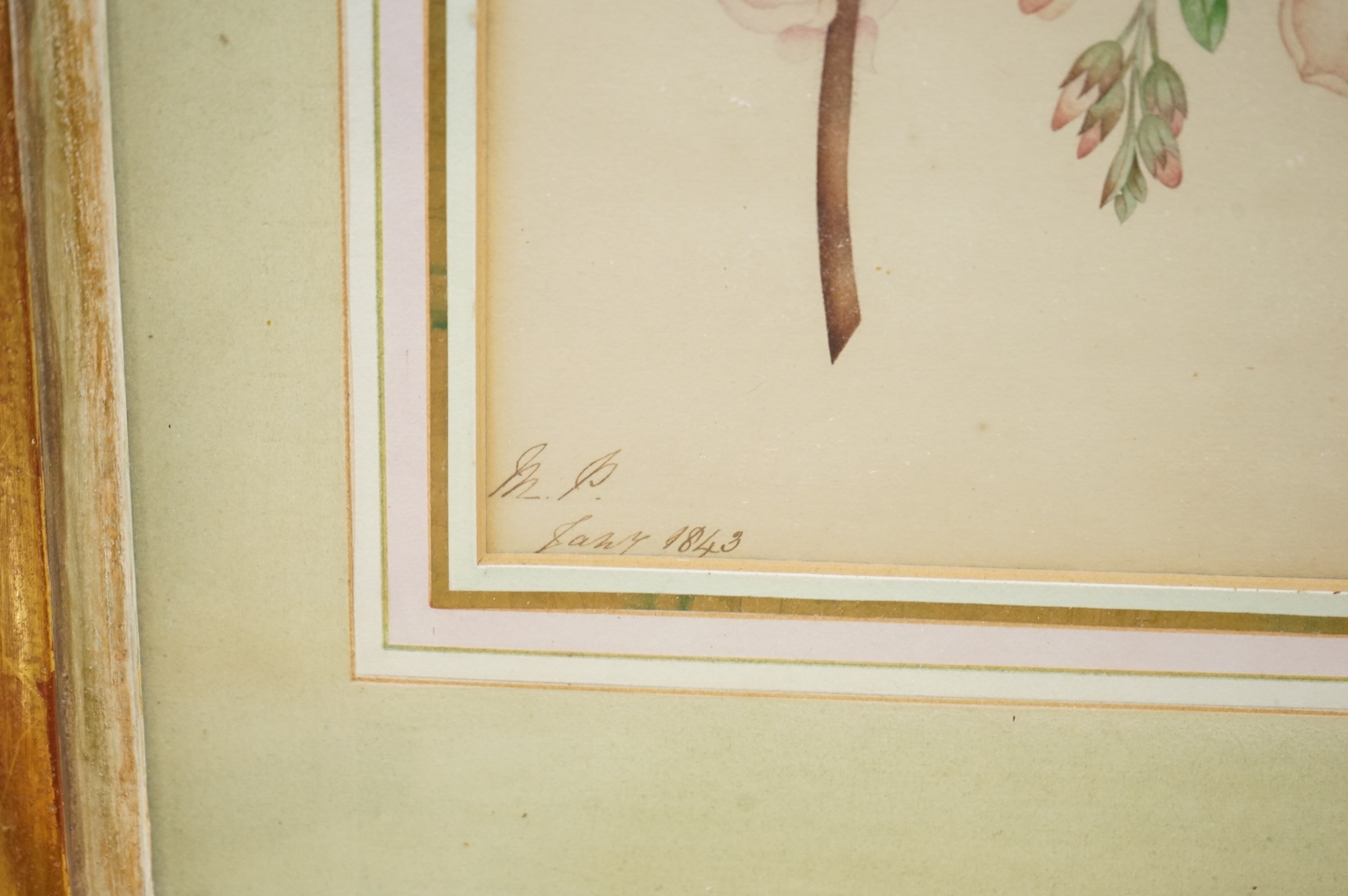 Two 19th century botanical watercolours, one initialled M P and dated 1843, together with a cut paper and textile display, maple framed, largest 25 x 18cm
